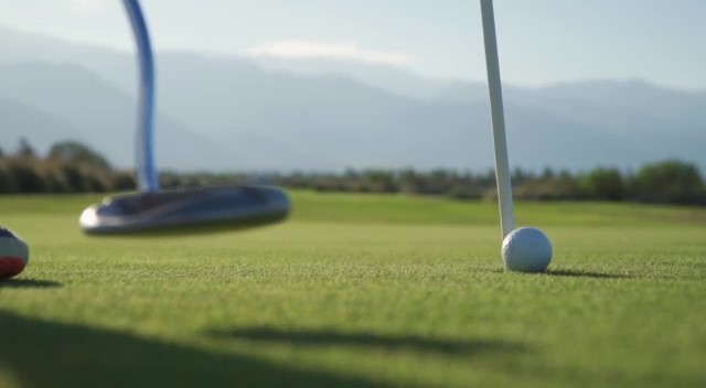 Descripción de la imagen 3