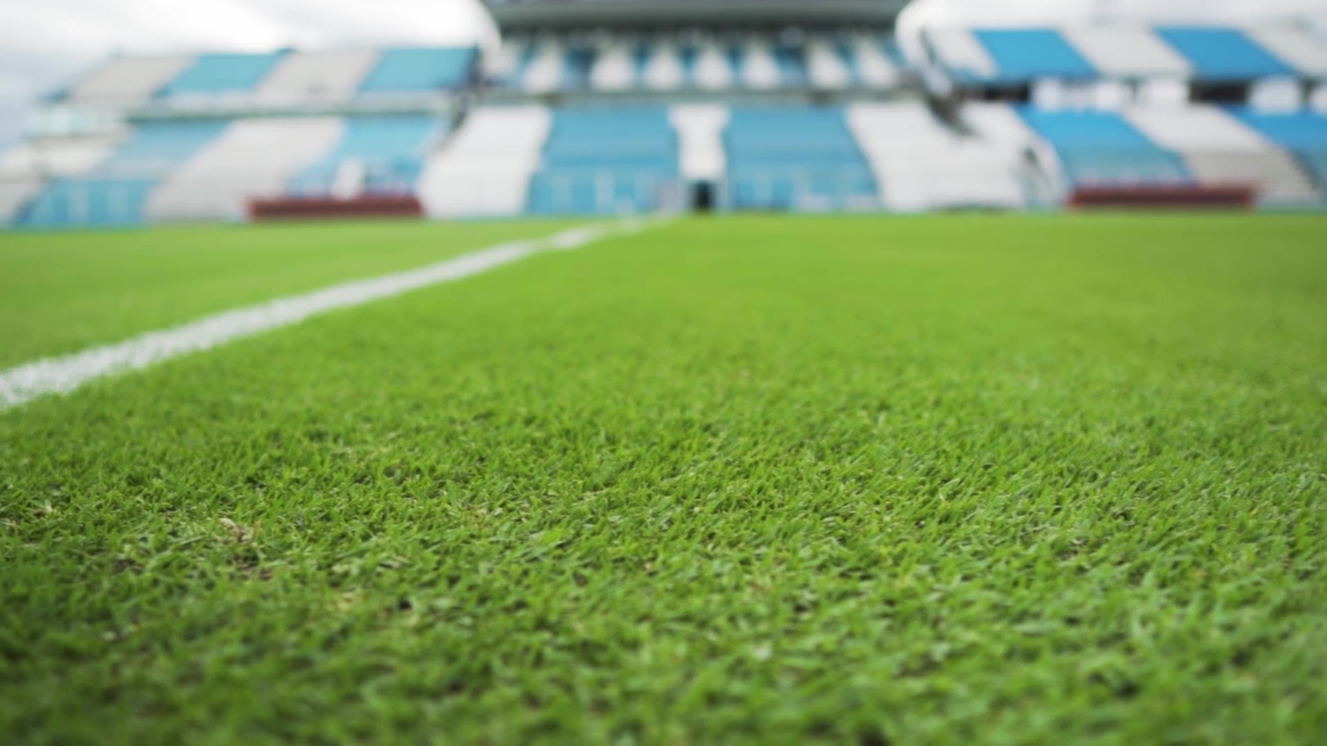 Descripción de la imagen 3